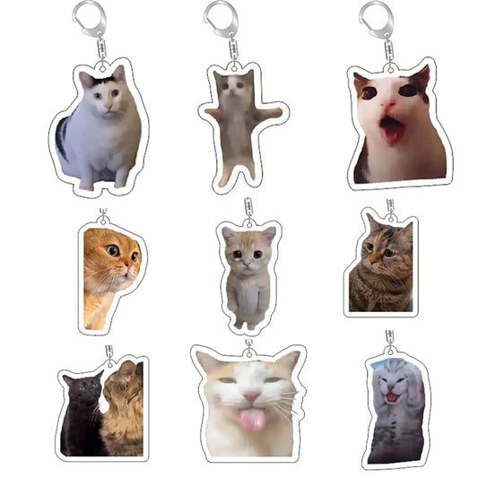 Funny Cat Memes Keychain