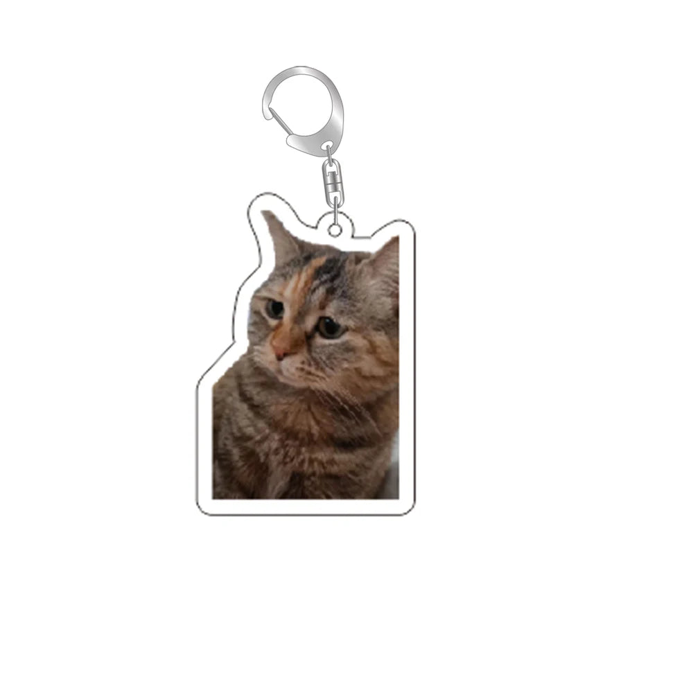Funny Cat Memes Keychain